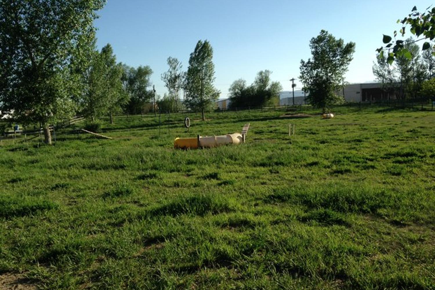 Airport Road Dog Park 4