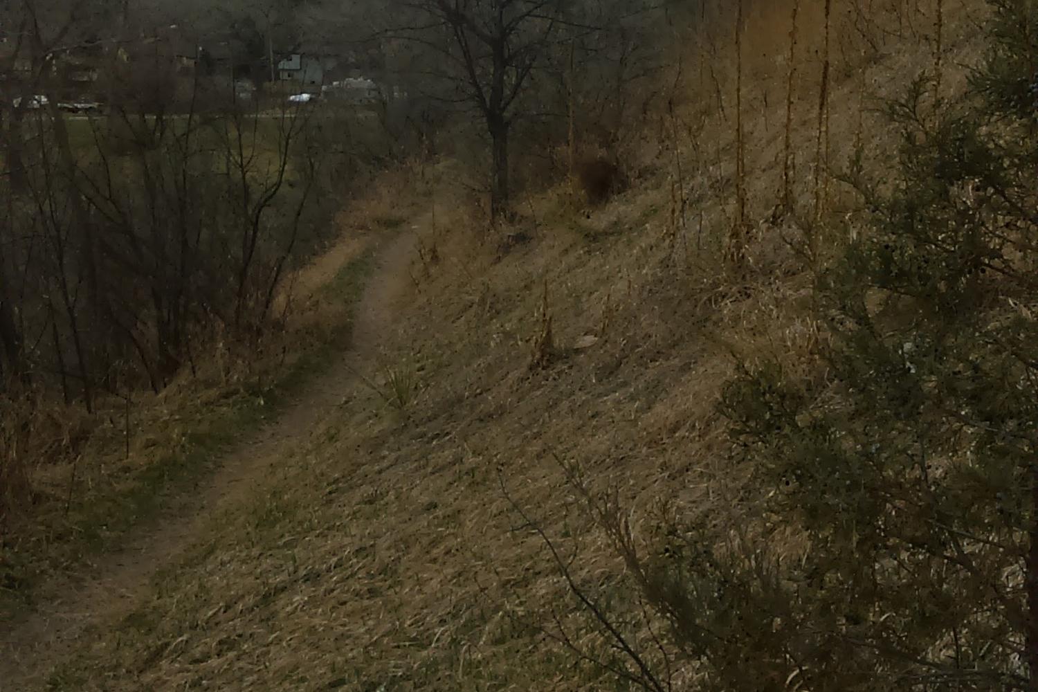 Wilderness Park 5