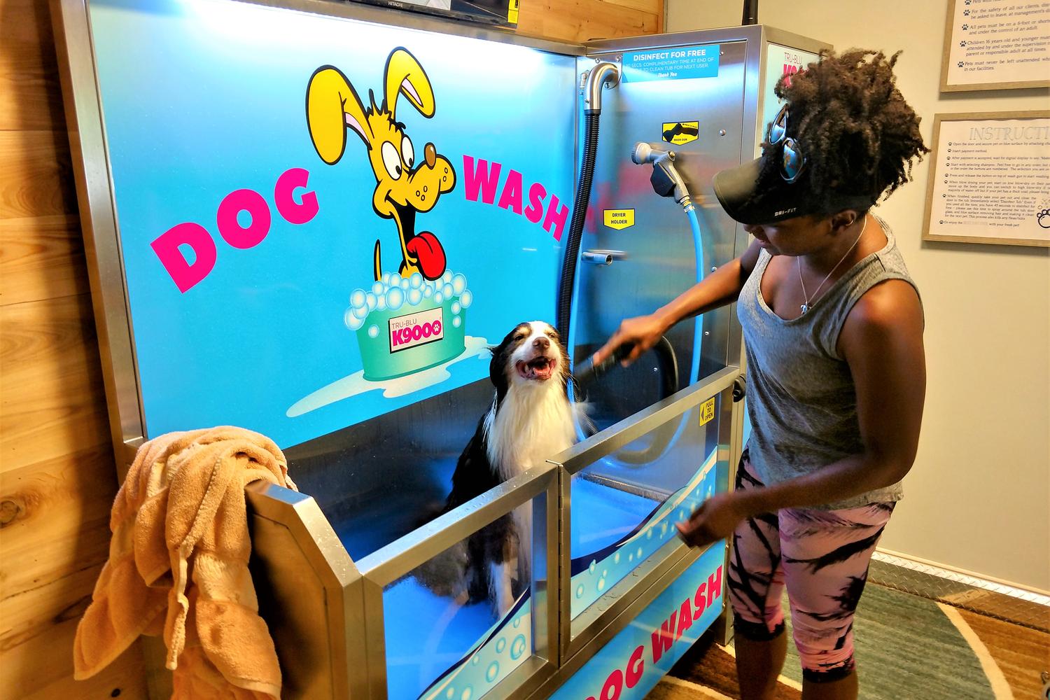 DIY Pet Wash 0