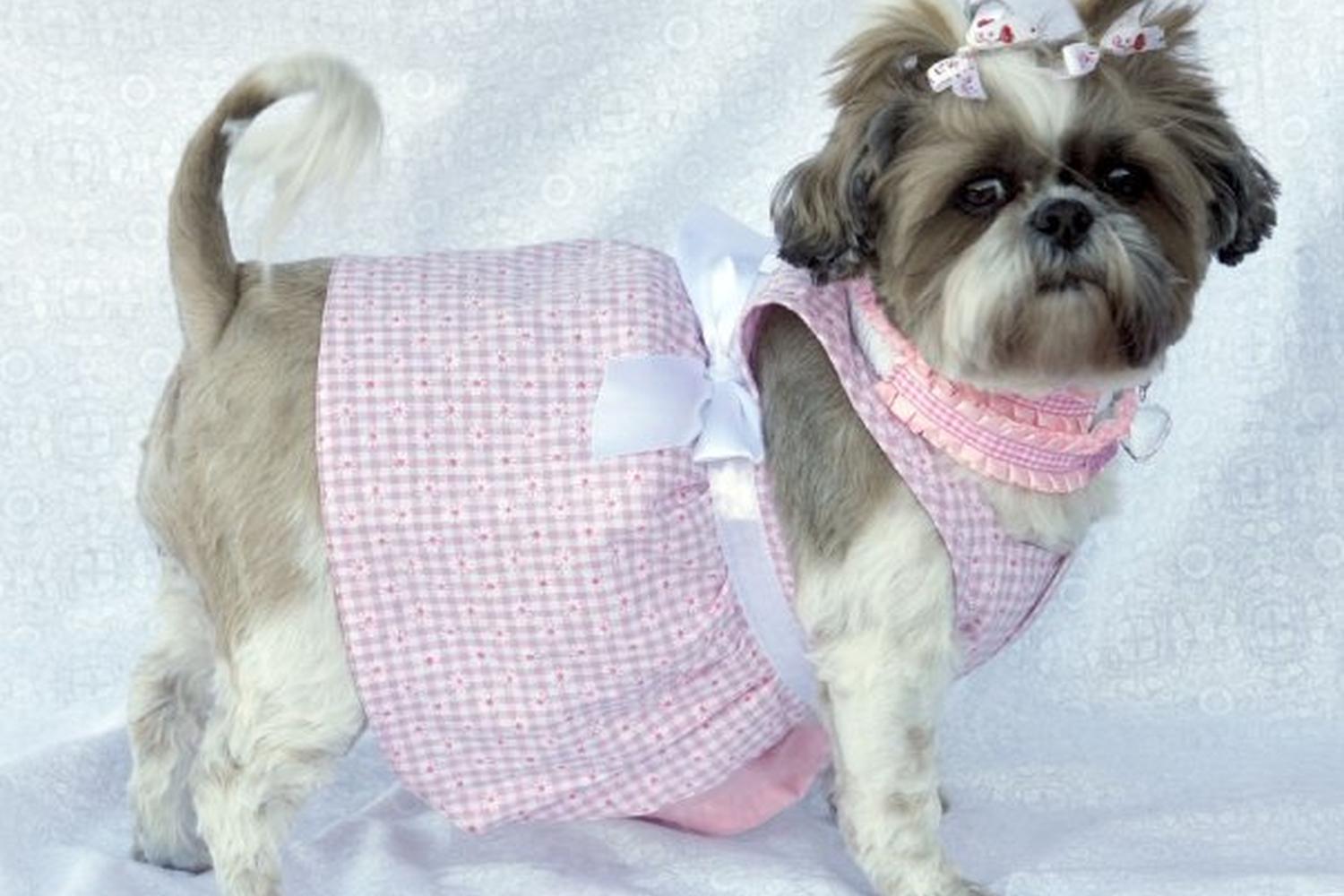 Purrs & Wags Grooming Salon 1