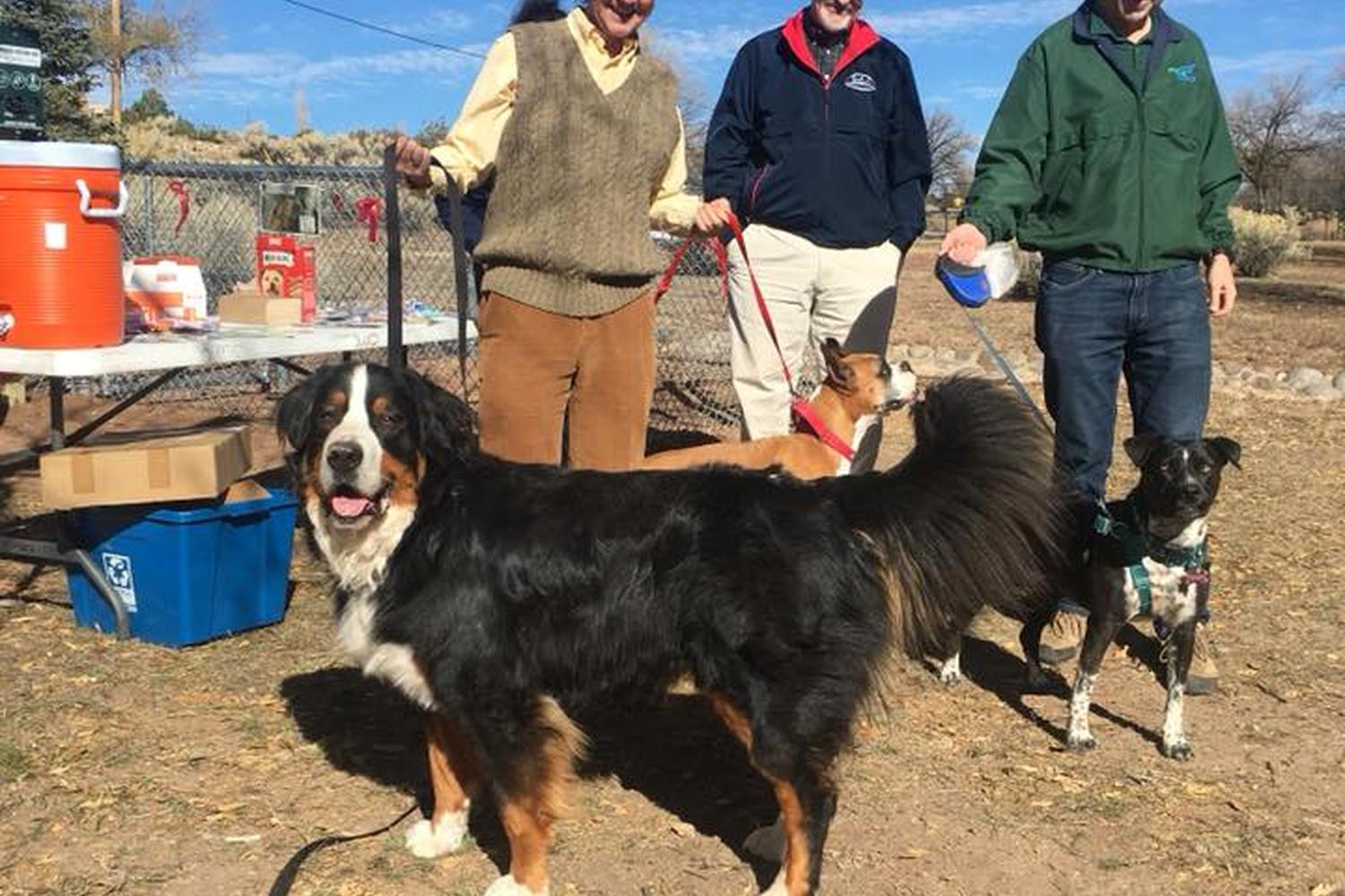 Fort Marcy Dog Park 1