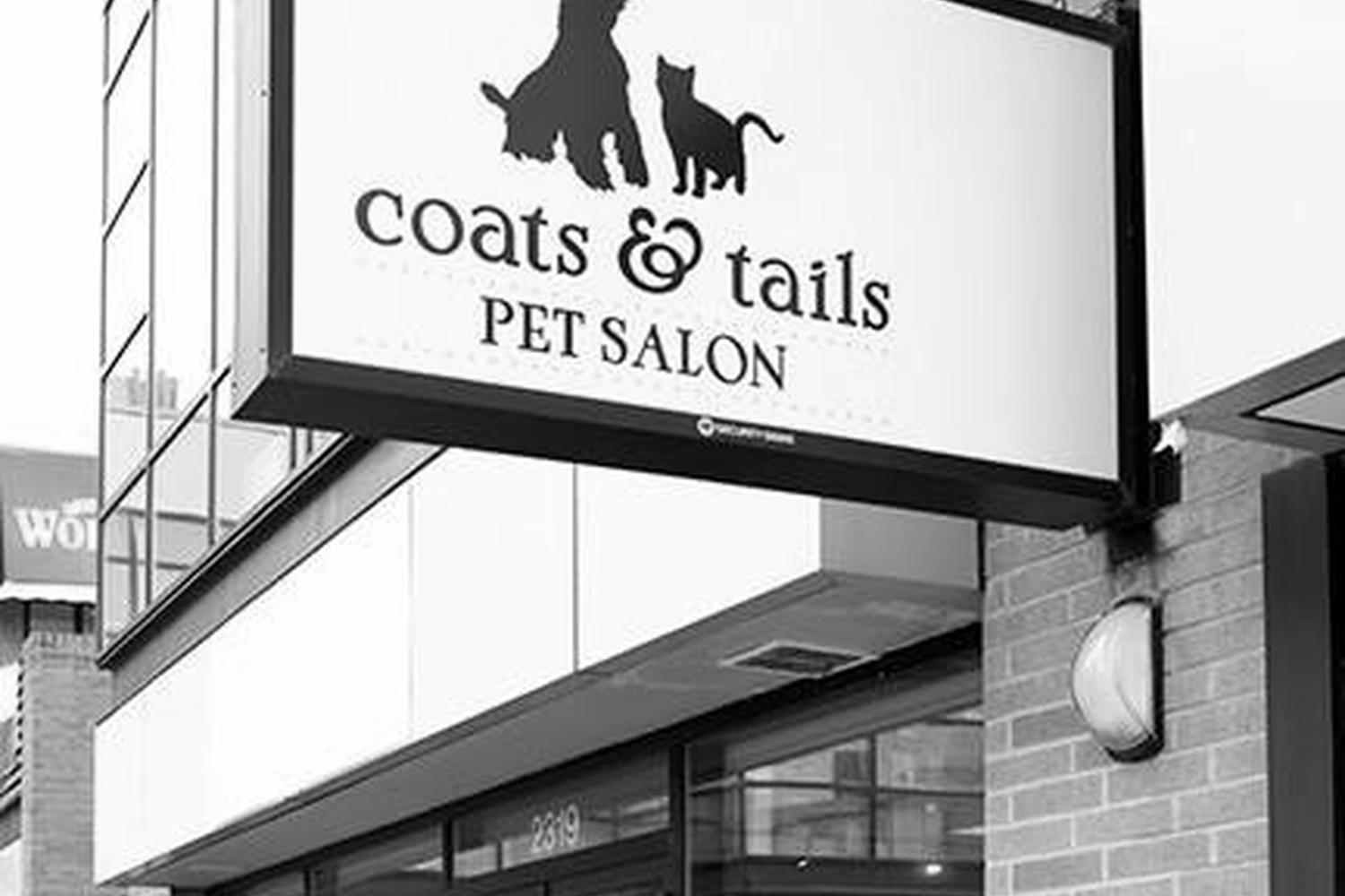 Coats & Tails 2