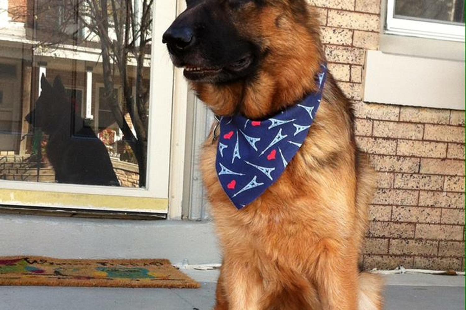 Natural Touch Grooming 0