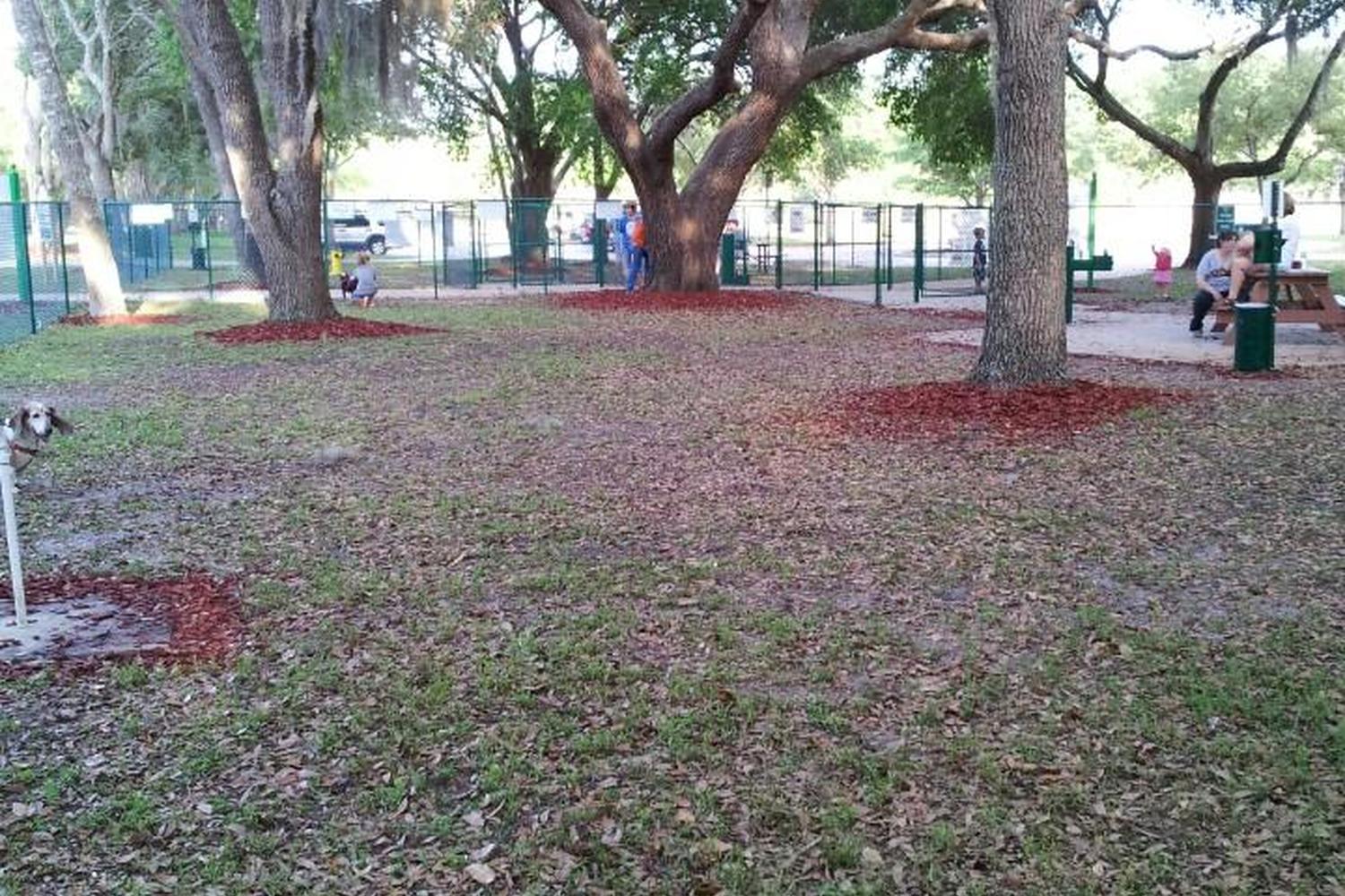Minneola Dog Park 6