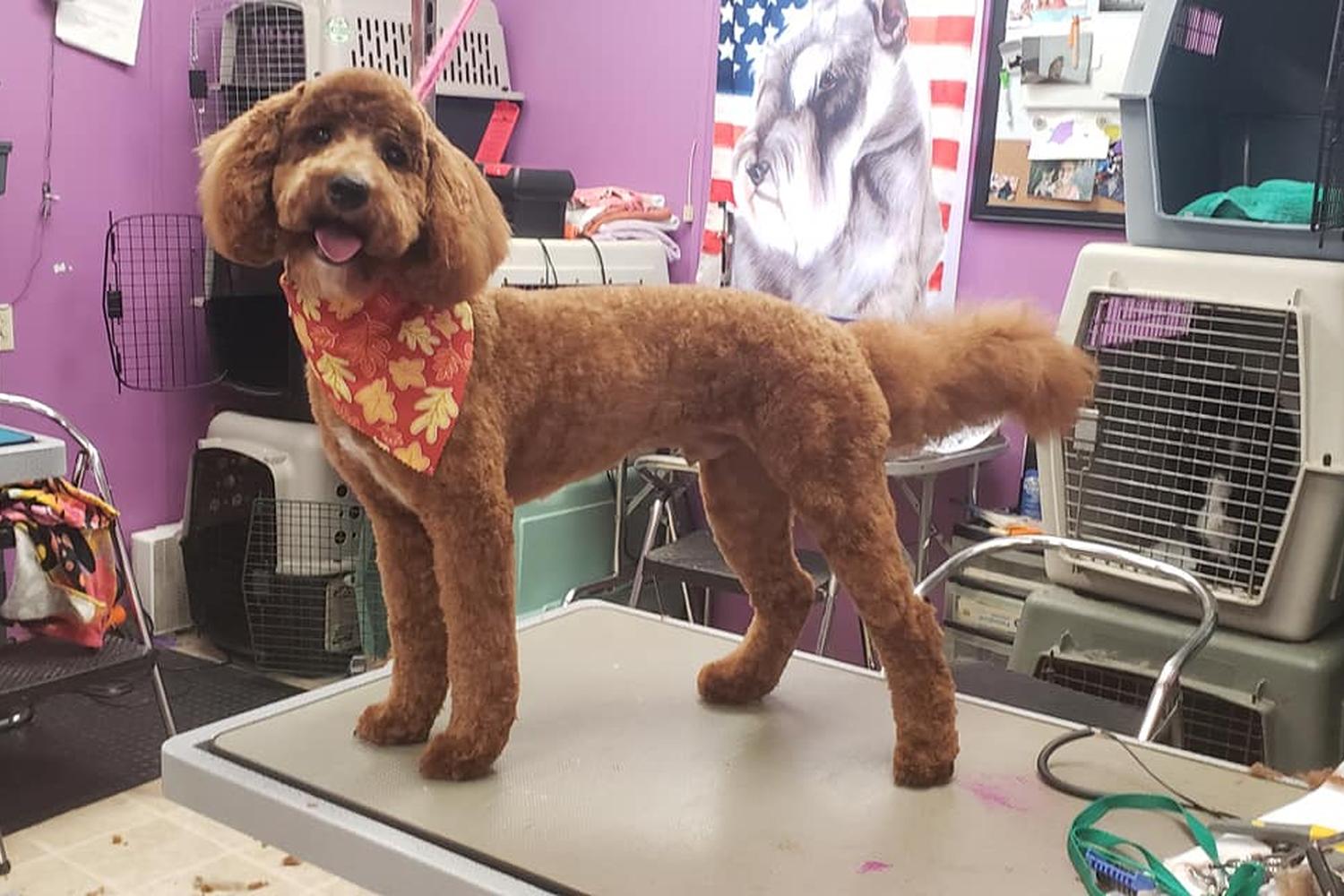 Riptide Grooming 4