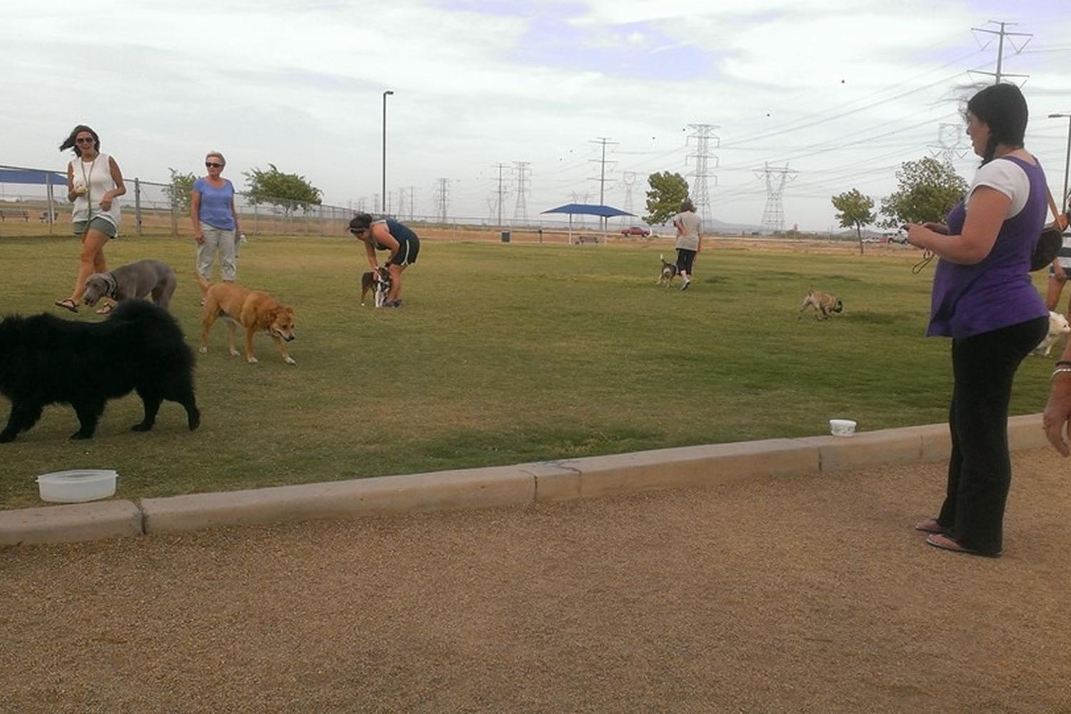 Roscoe Dog Park 2