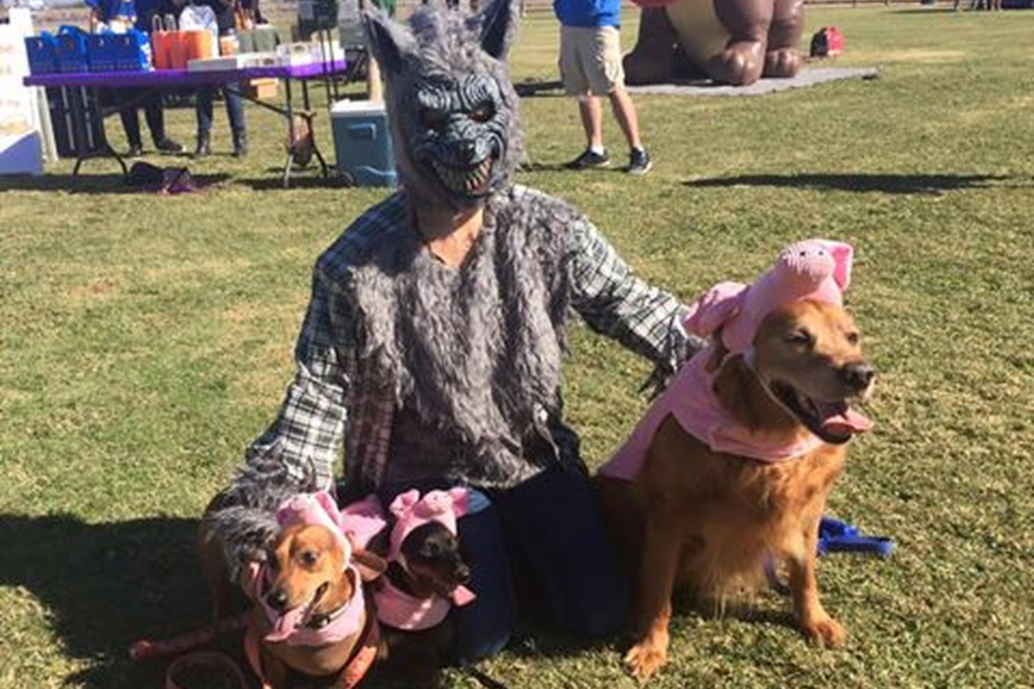 Roscoe Dog Park 1