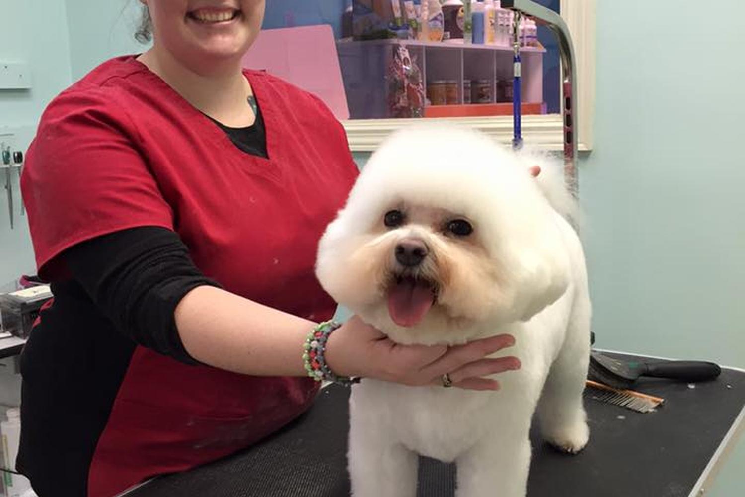 Nature's Pet Day Spa 1