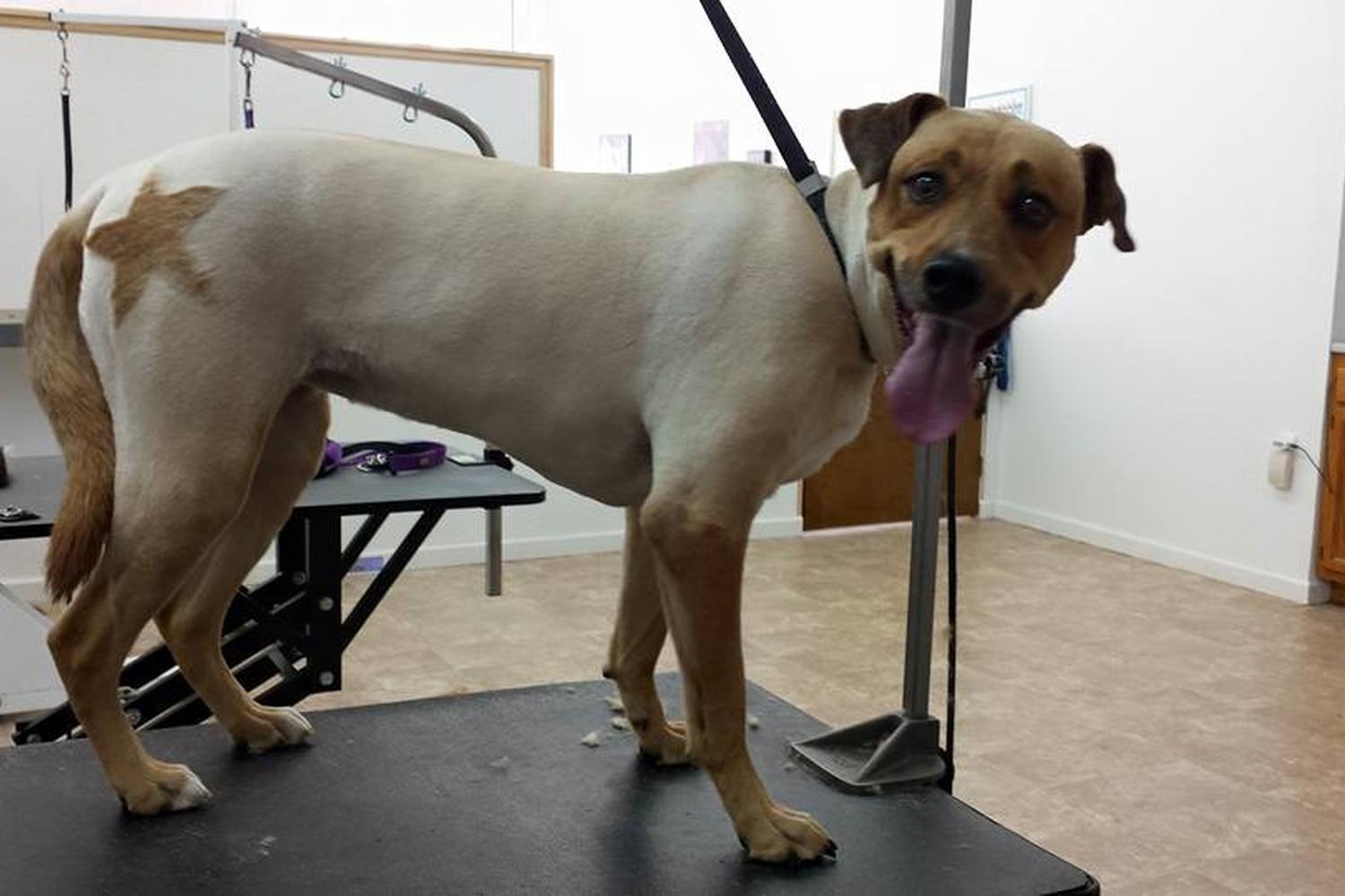 Crystal's Country Cuts  2