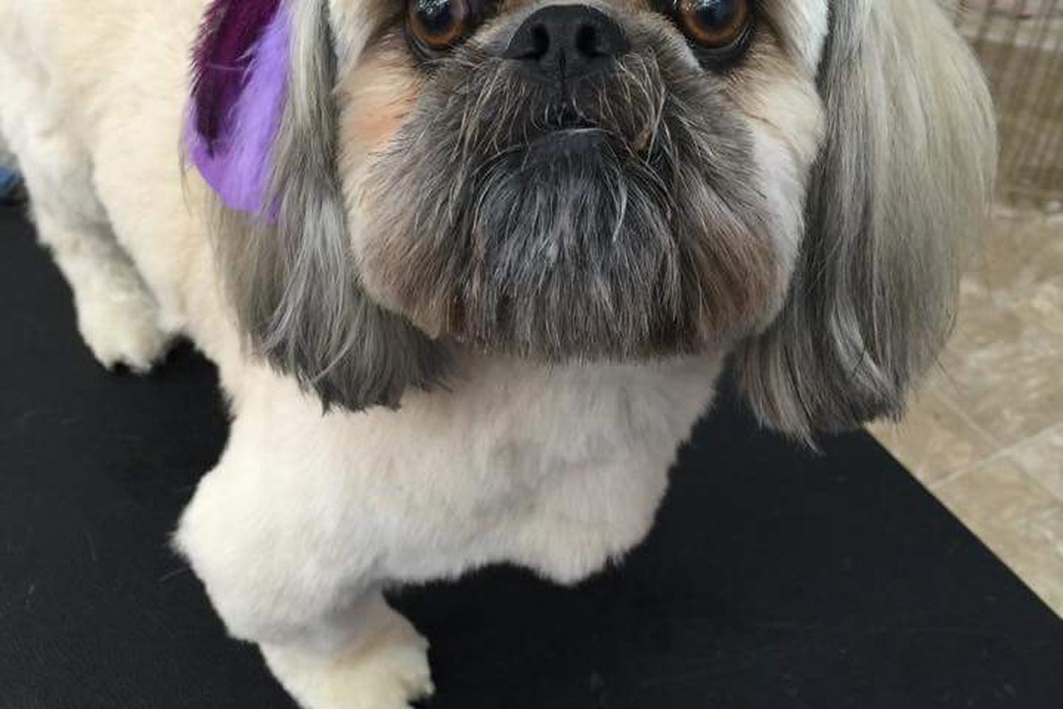 Crystal's Country Cuts  3