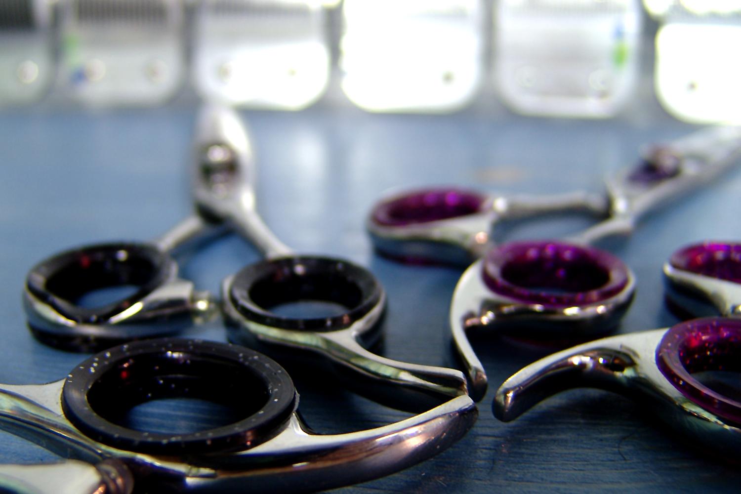 Small & Tall Grooming LLC 8