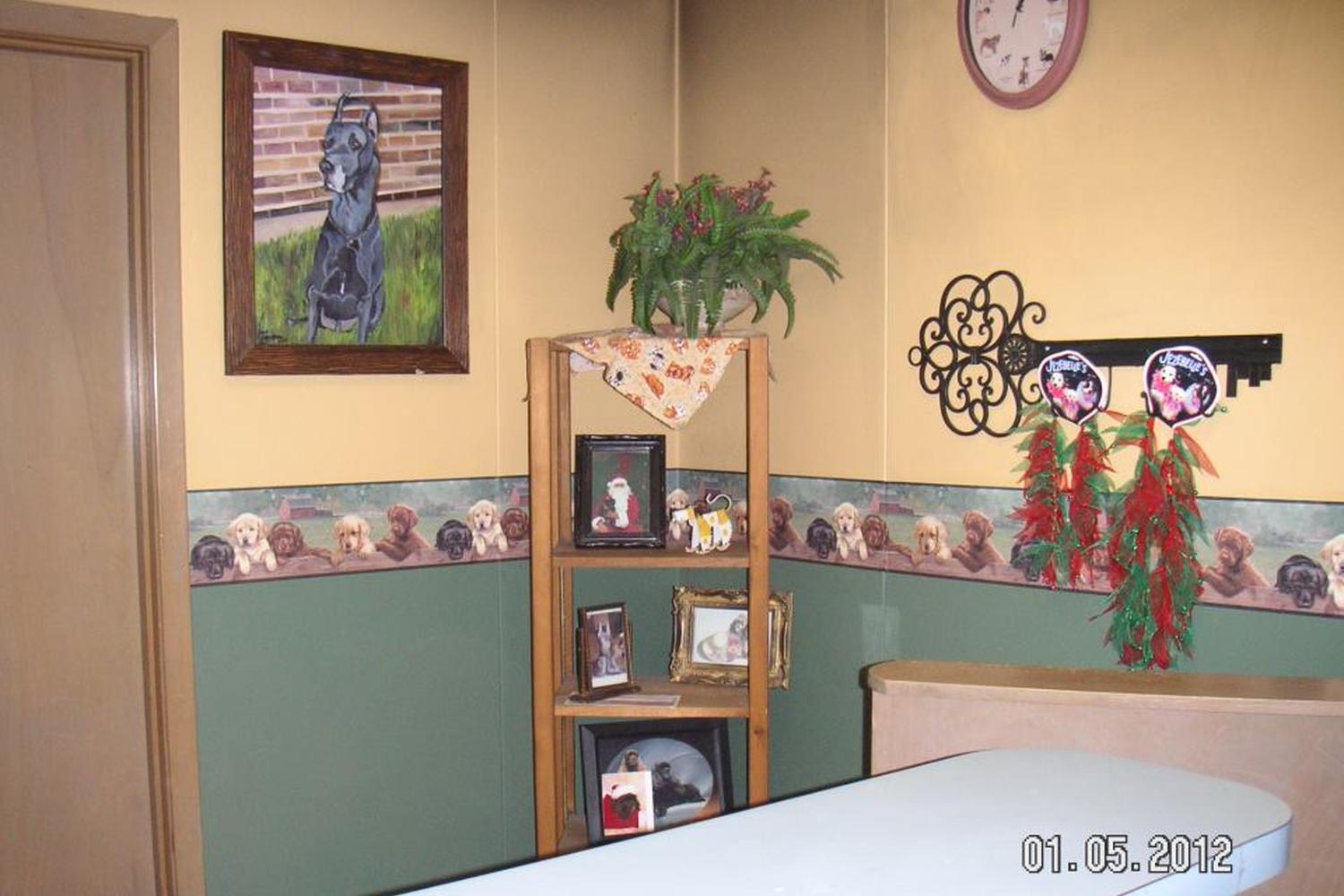 Scissors and Suds Pet Grooming 2