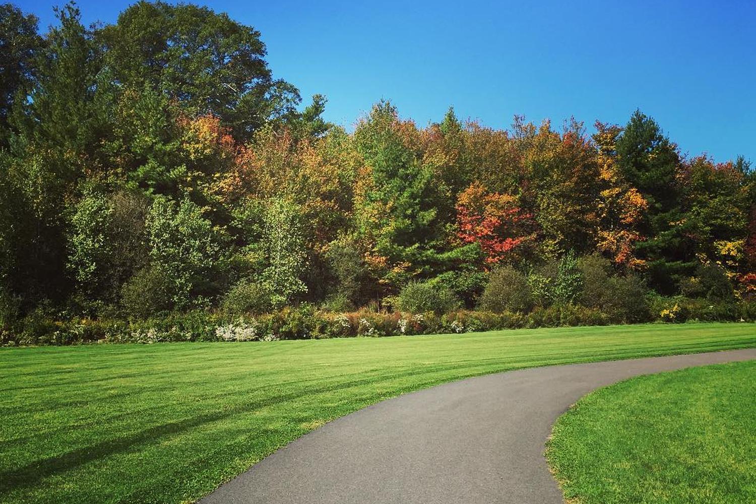 Forge Pond Park 7