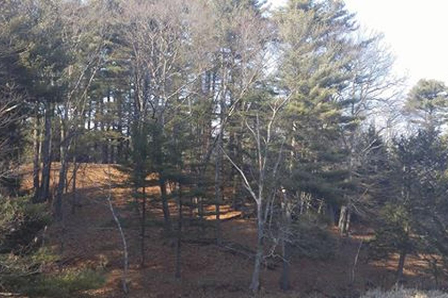 Merrymeeting Dog Park 1