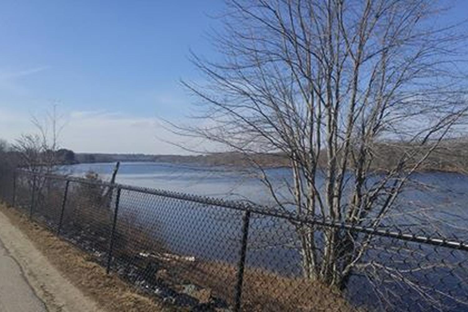 Merrymeeting Dog Park 0