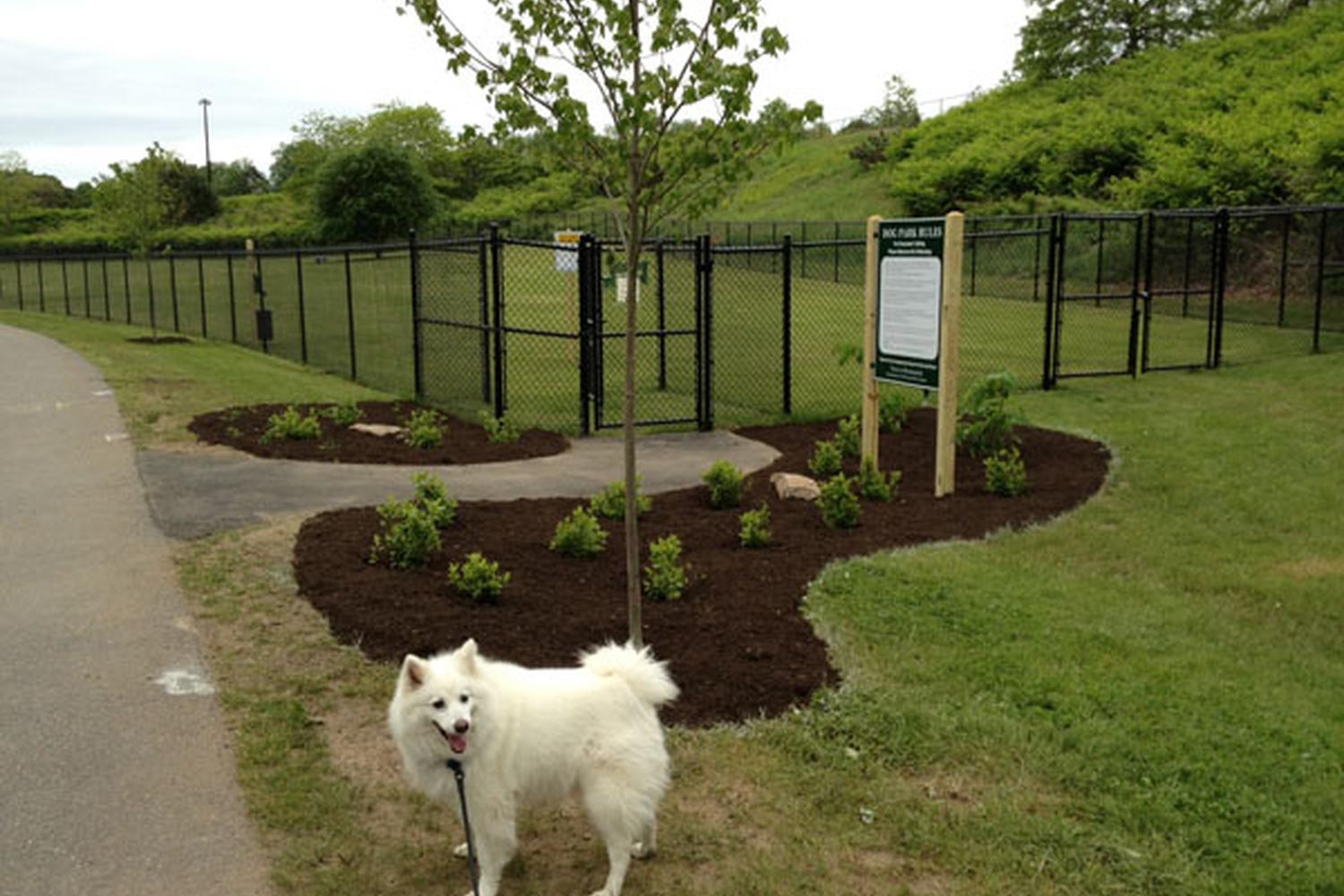 Merrymeeting Dog Park 3