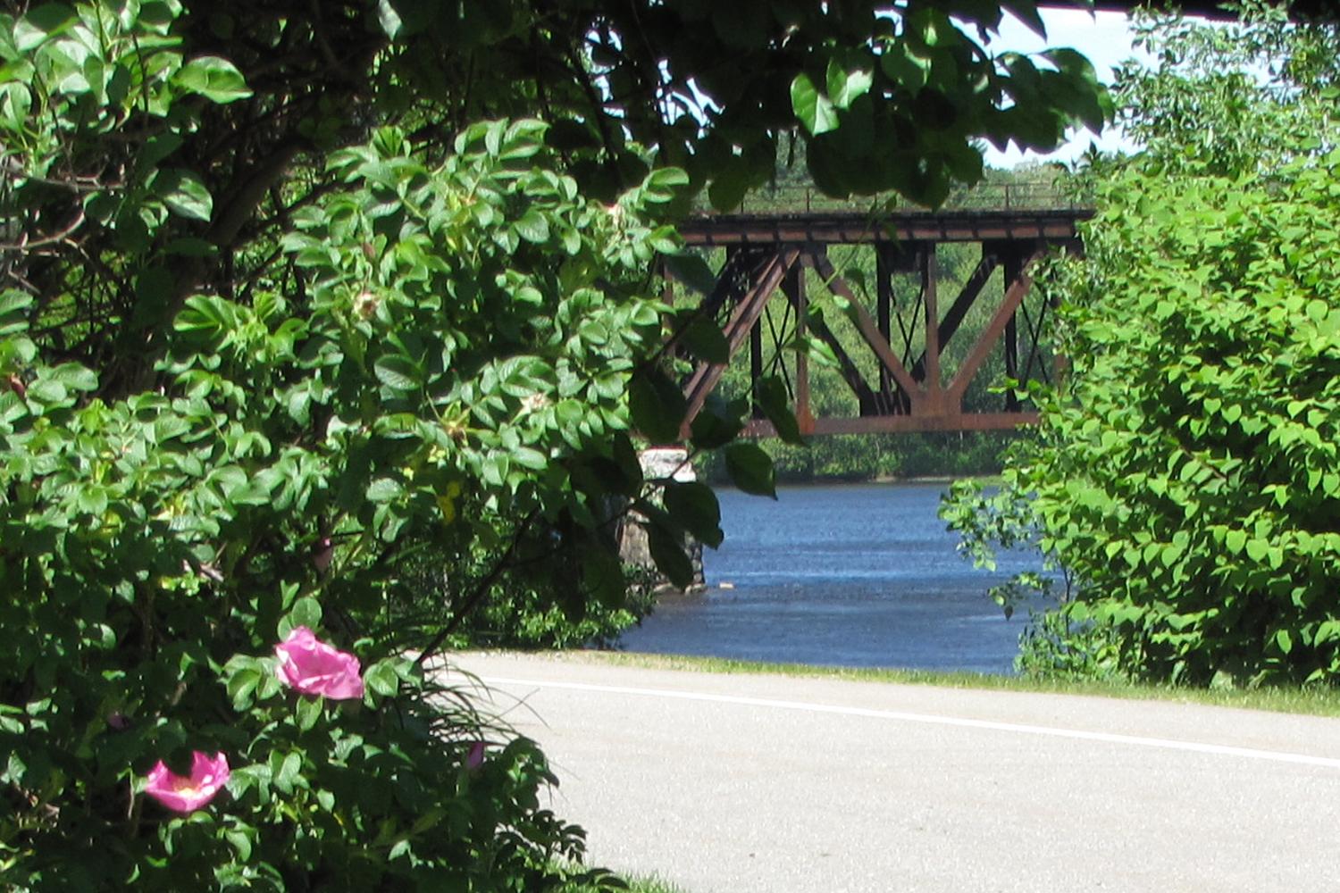 Merrymeeting Dog Park 2