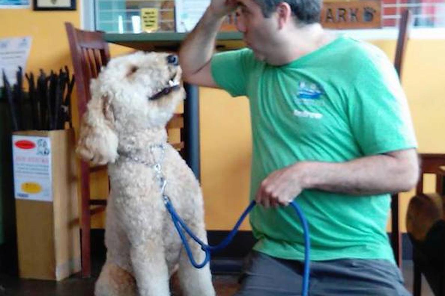 Community Bark Dog Wash & Coffee Bar 0