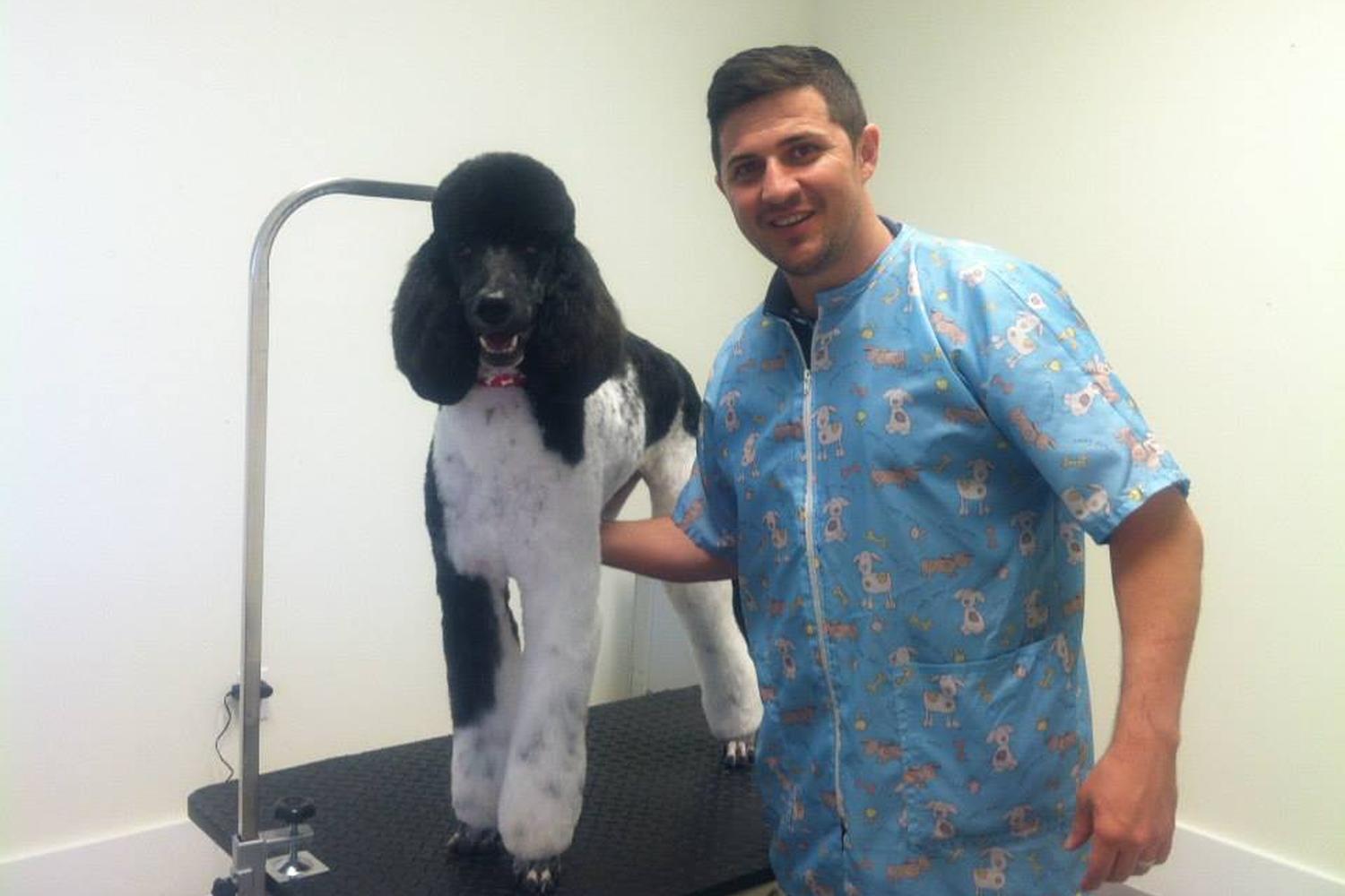 Mario`s Pet Grooming & Boutique 1