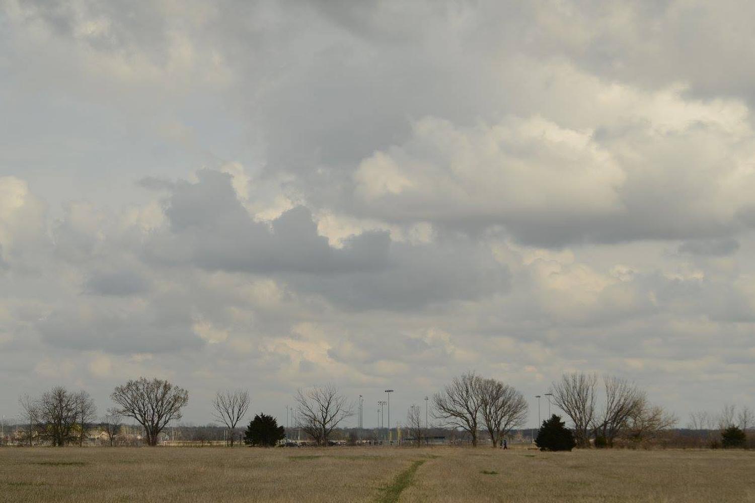 Mutt Run Off Leash Dog Area 4