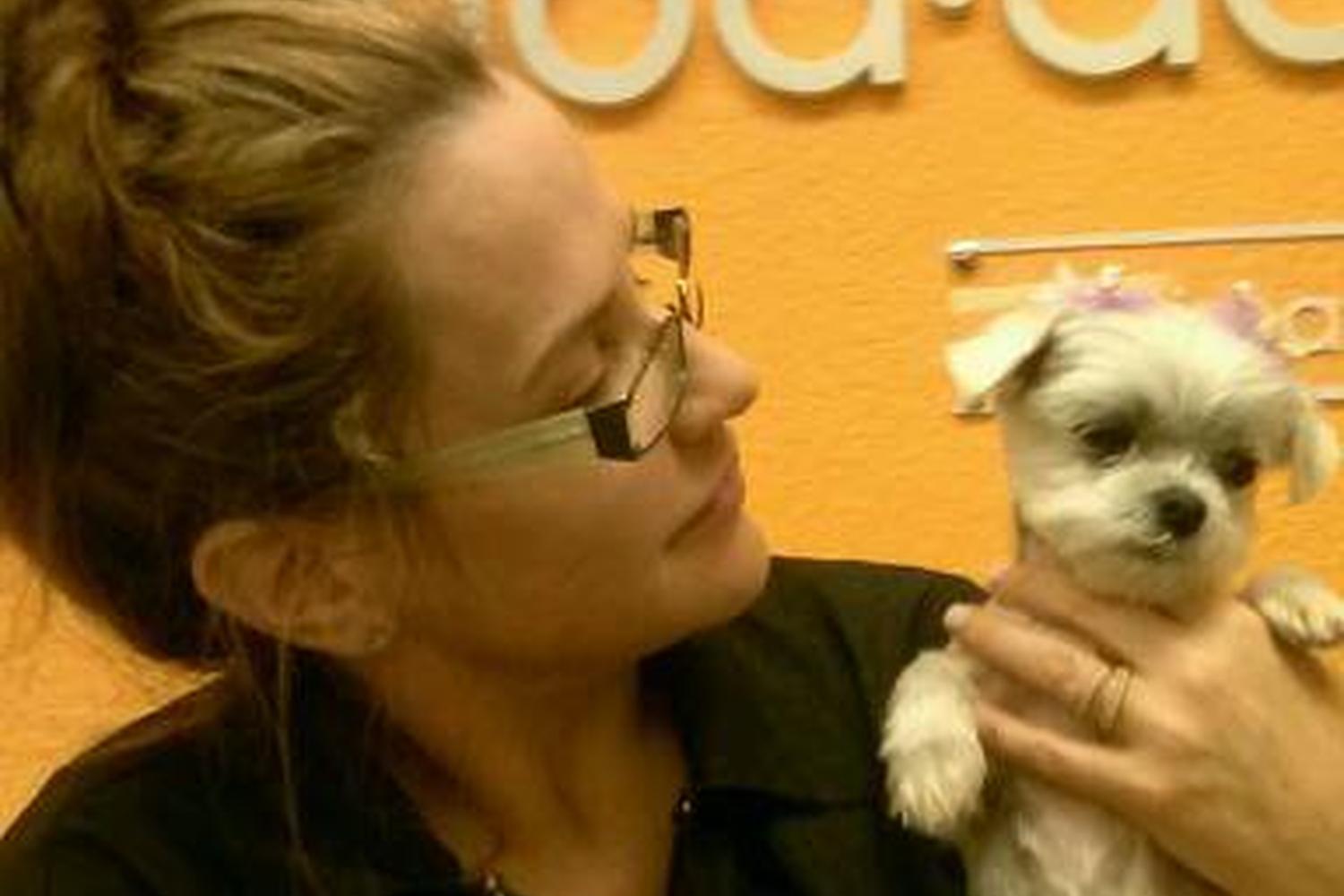 Mod-Dog Grooming Salon & Boutique 4