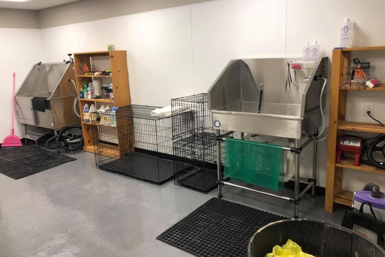 Naomi’s Pet Grooming 1