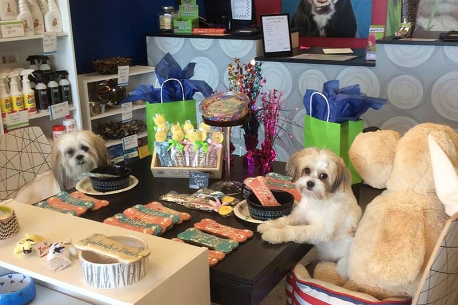 Splash and Dash Groomerie & Boutique 3