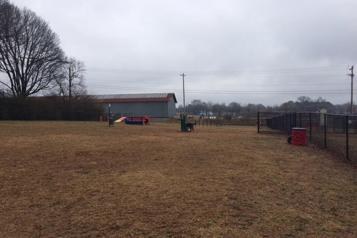 Benton Dog Park 1