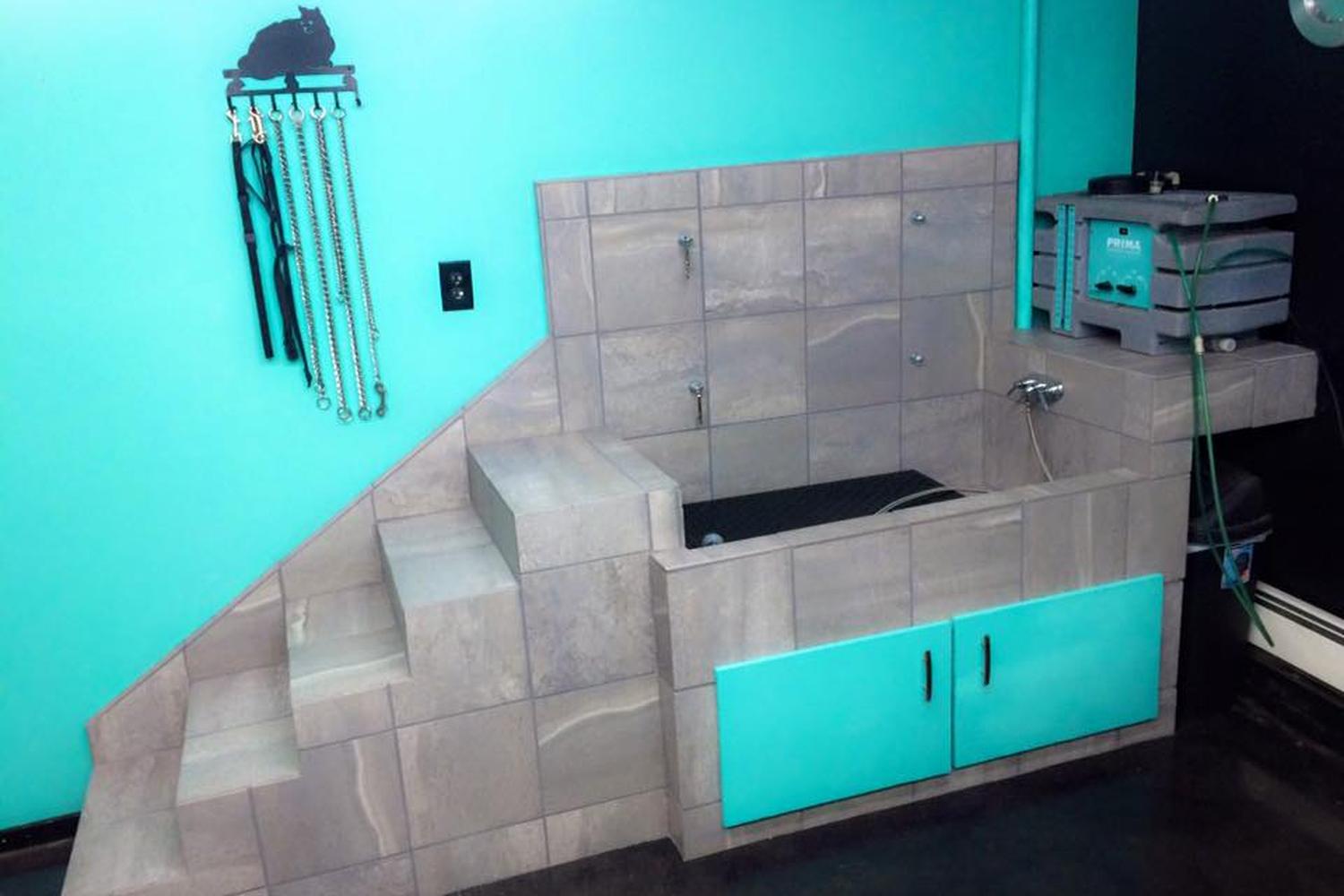Pawfections Pet Salon 4