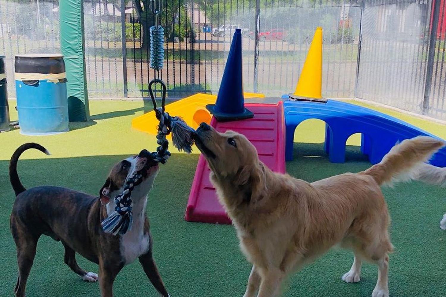 The Dog House Pet Salon Galleria 4