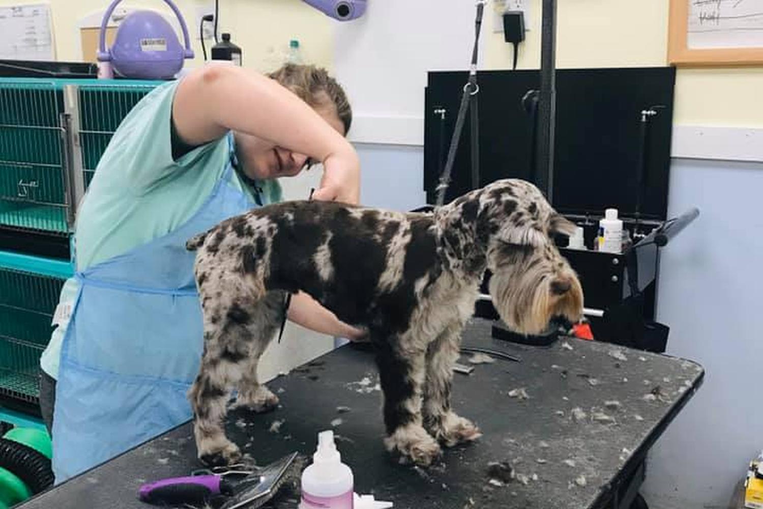 Annie's Grooming Tails 0