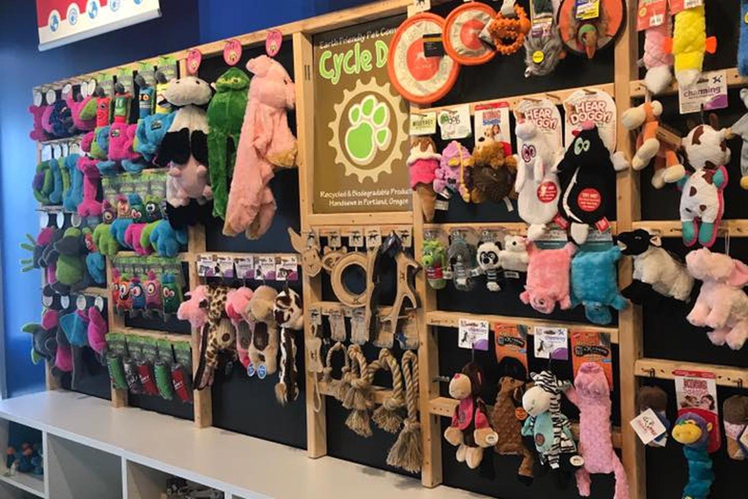 Splash and Dash Groomerie & Boutique 4