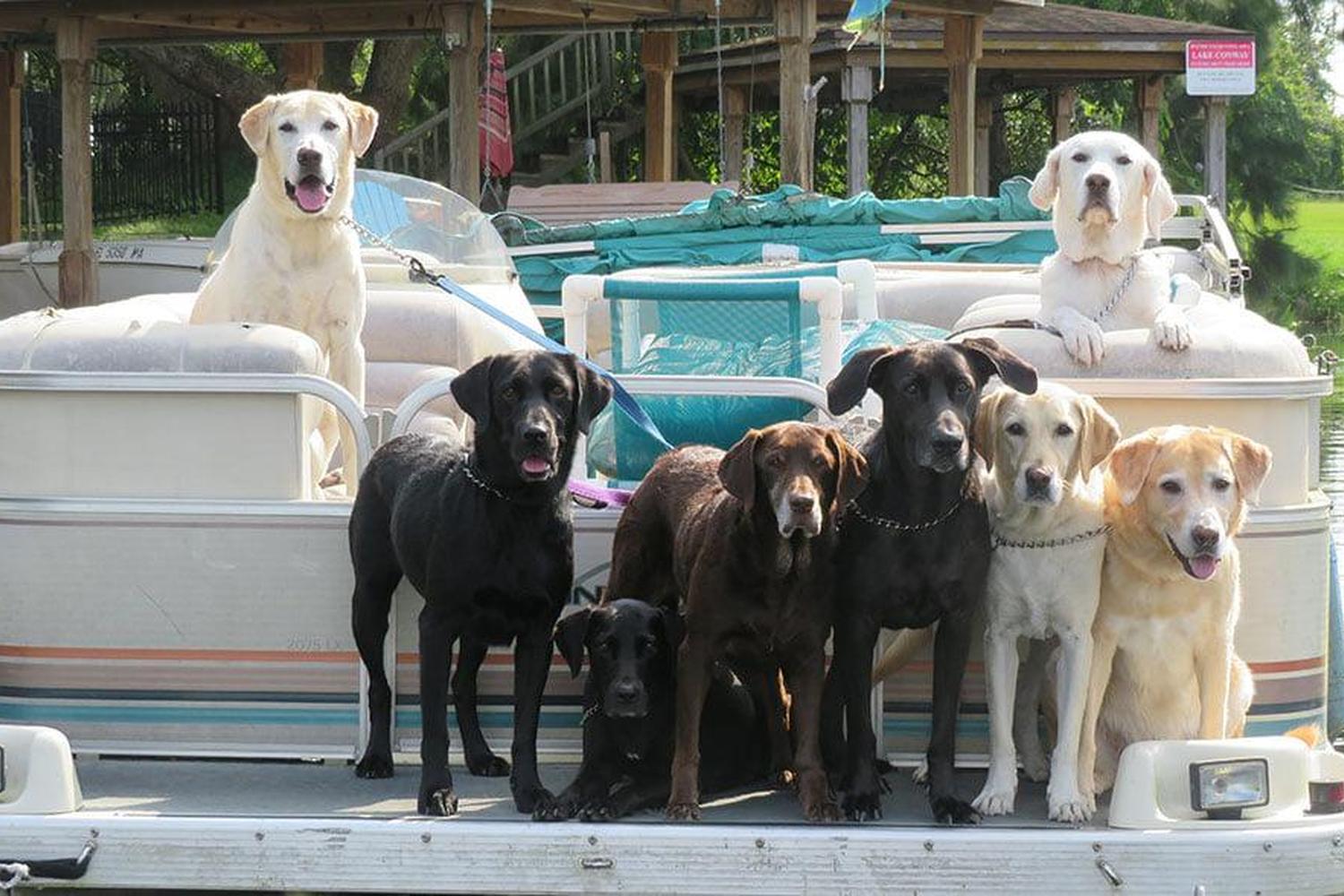 Houndhaven, Inc. 0