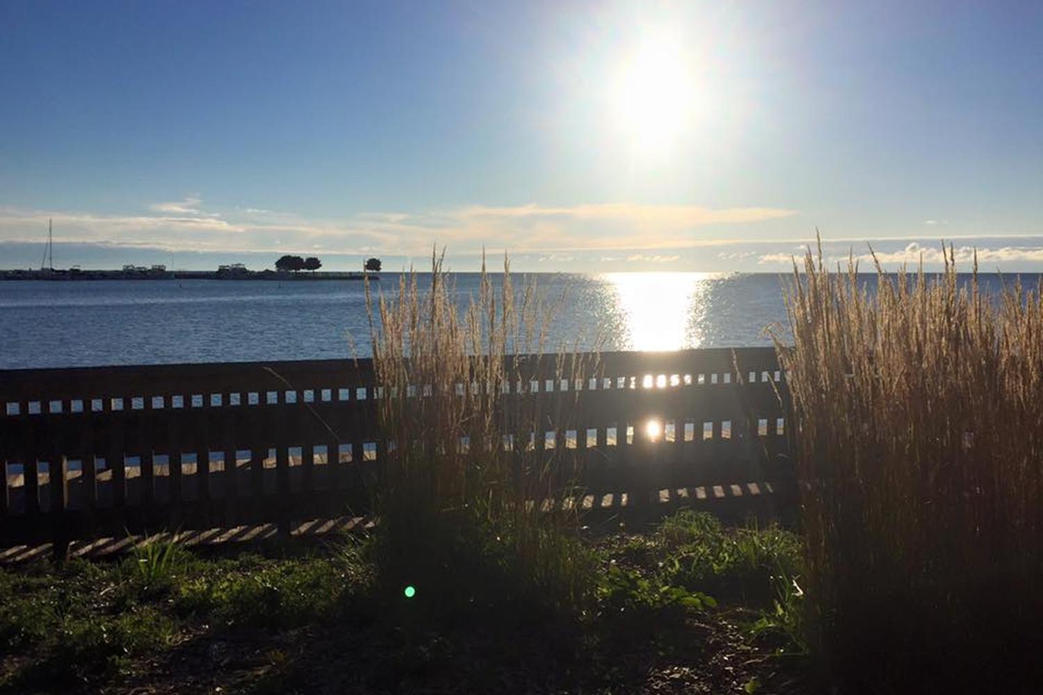 Grosse Pointe Woods Dog Park at Lake Front Park 2