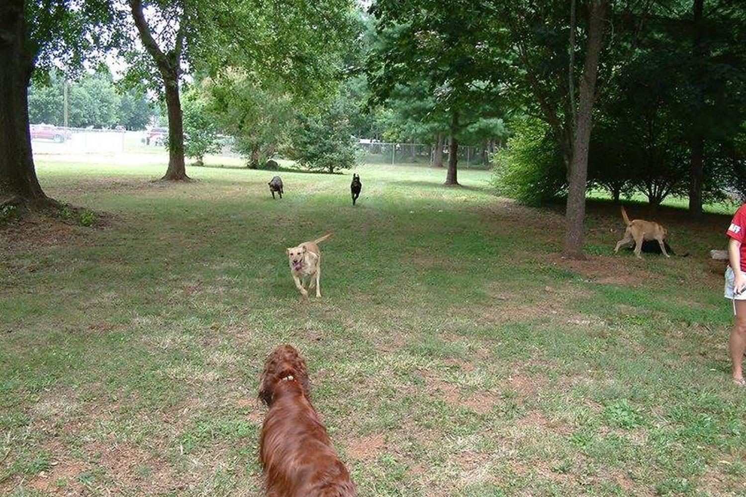 K-9 Corner at Beth Schmidt Park 0