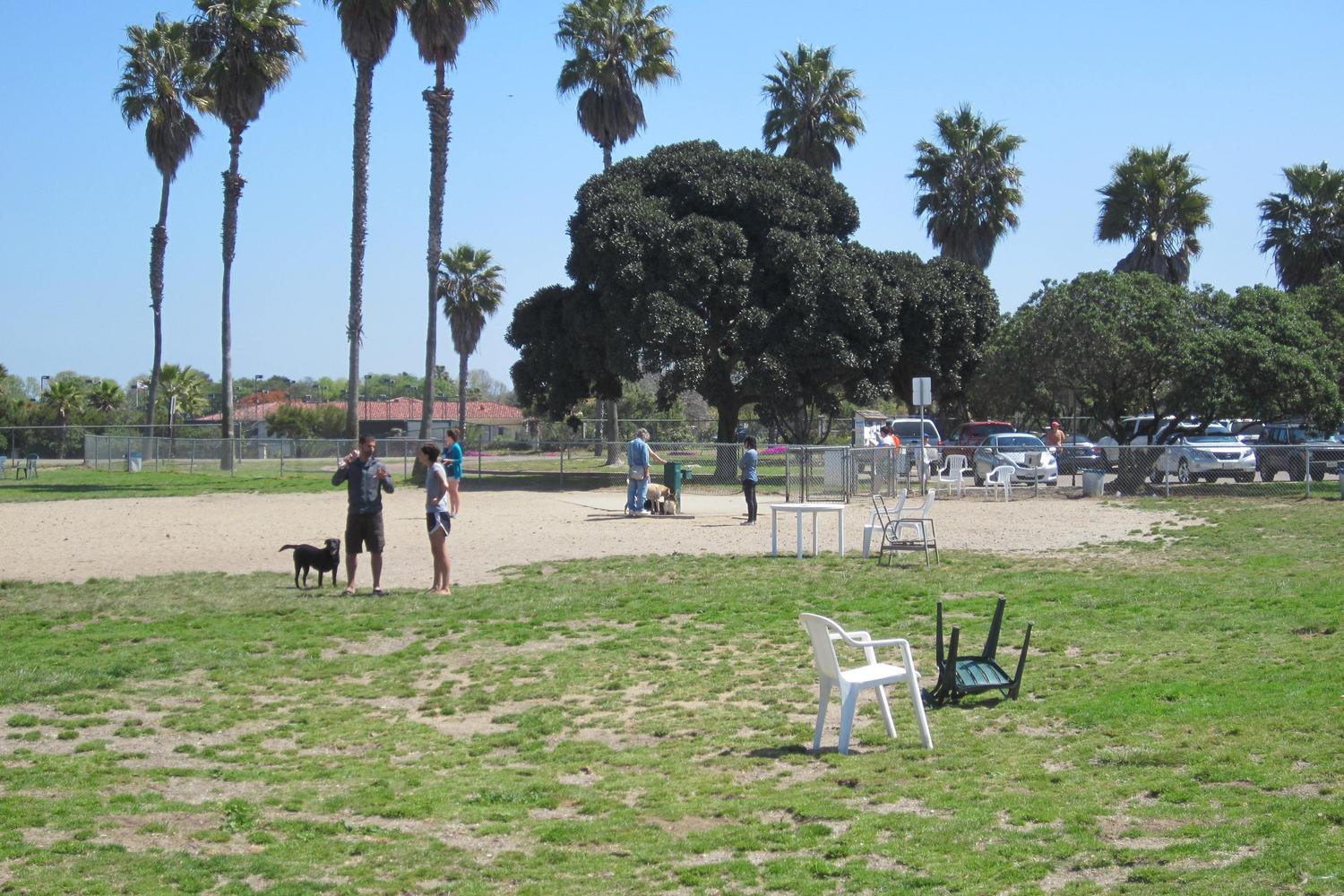 Dusty Rhodes Off-Leash Dog Park 0