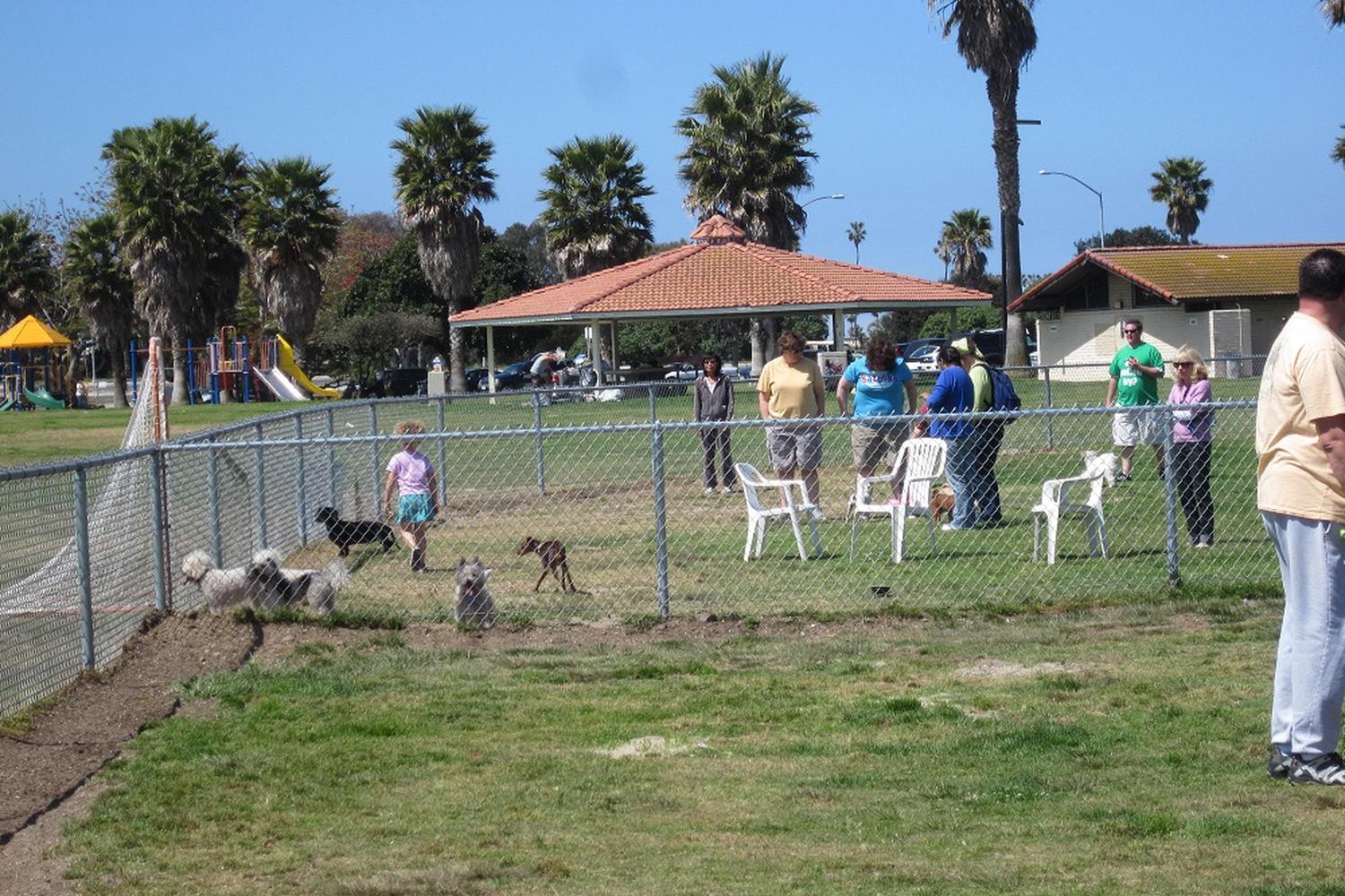 Dusty Rhodes Off-Leash Dog Park 2