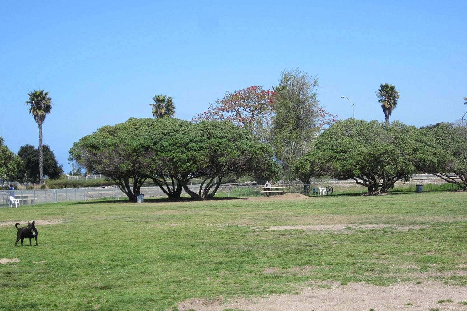 Dusty Rhodes Off-Leash Dog Park 1