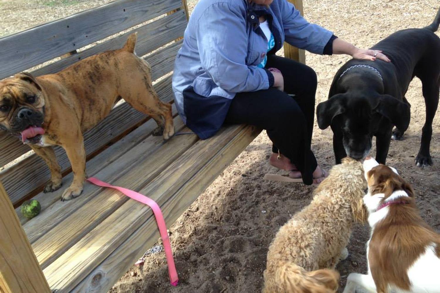 Waggin' Tails Bark Park 4