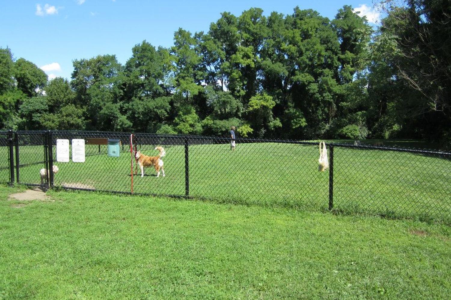 Hunnewell Park 6