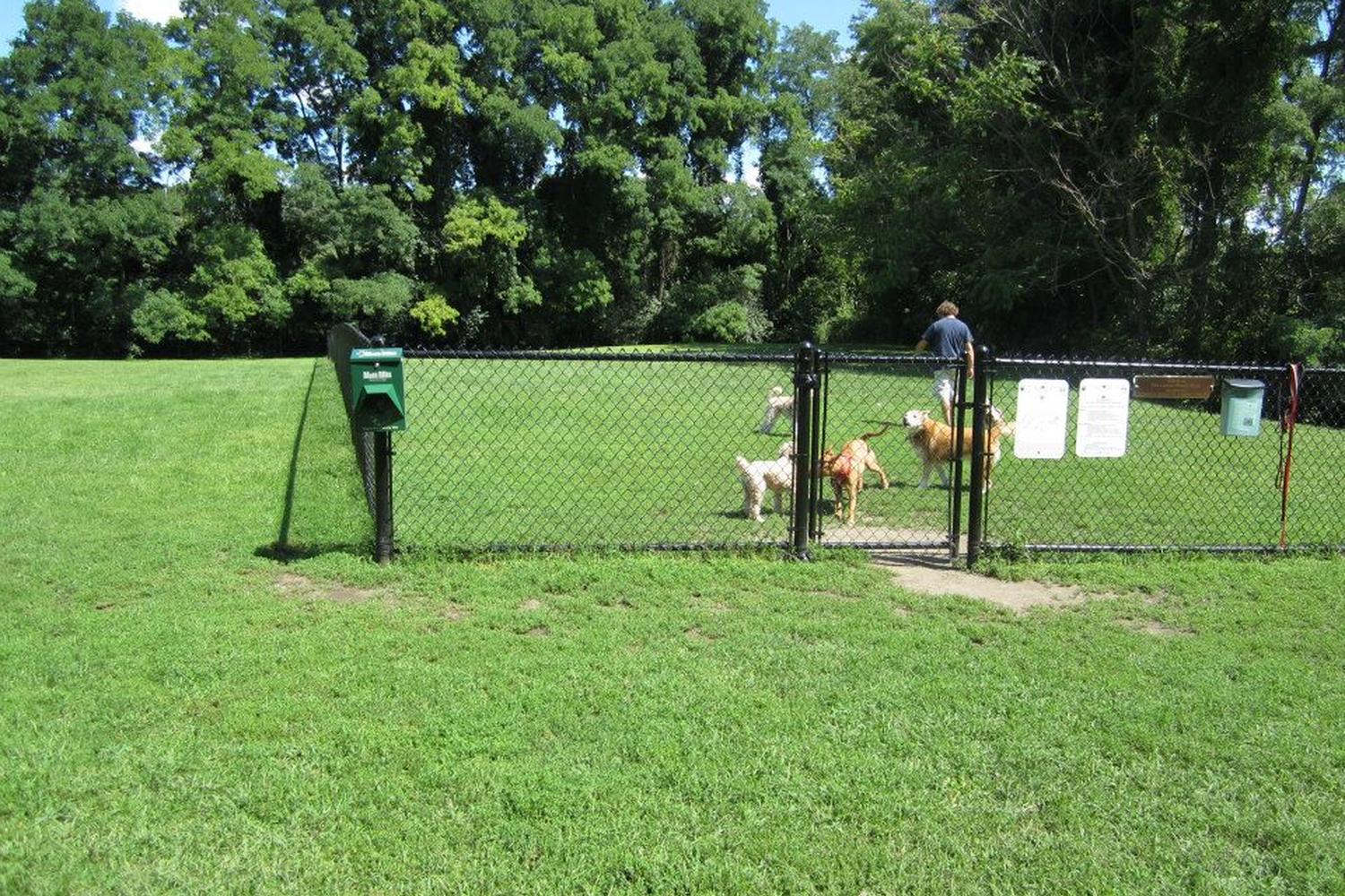 Hunnewell Park 1