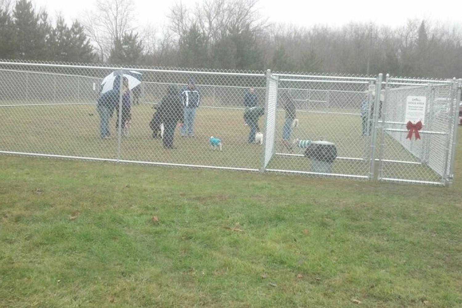 Bangor Dog Park 1