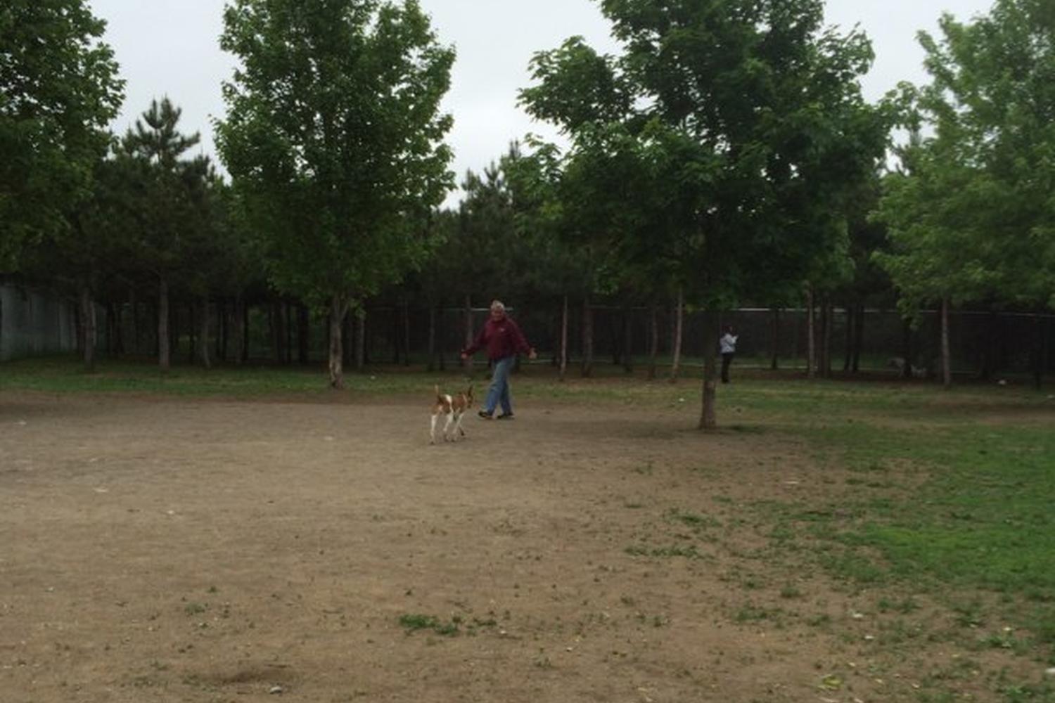 Bangor Dog Park 3