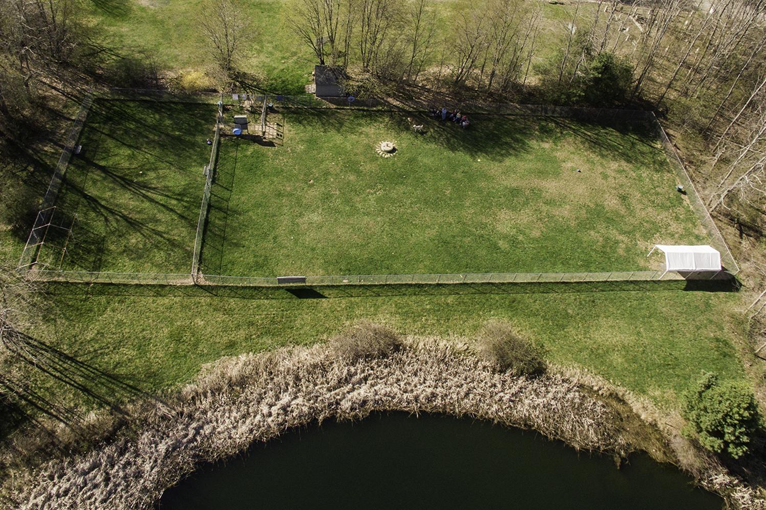 Rochester Dog Park 0