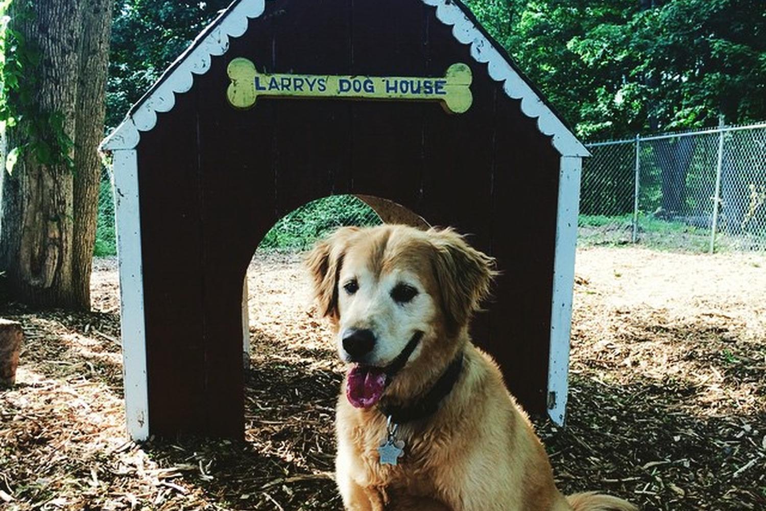 Cedar Lane Dog Park 4