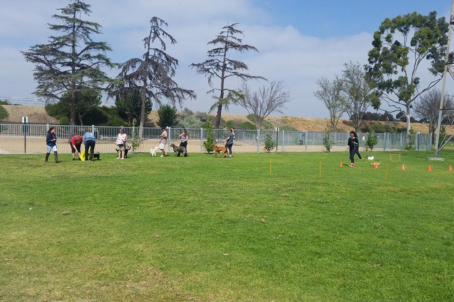 South Gate Dog Park at Hollydale Regional Park 3