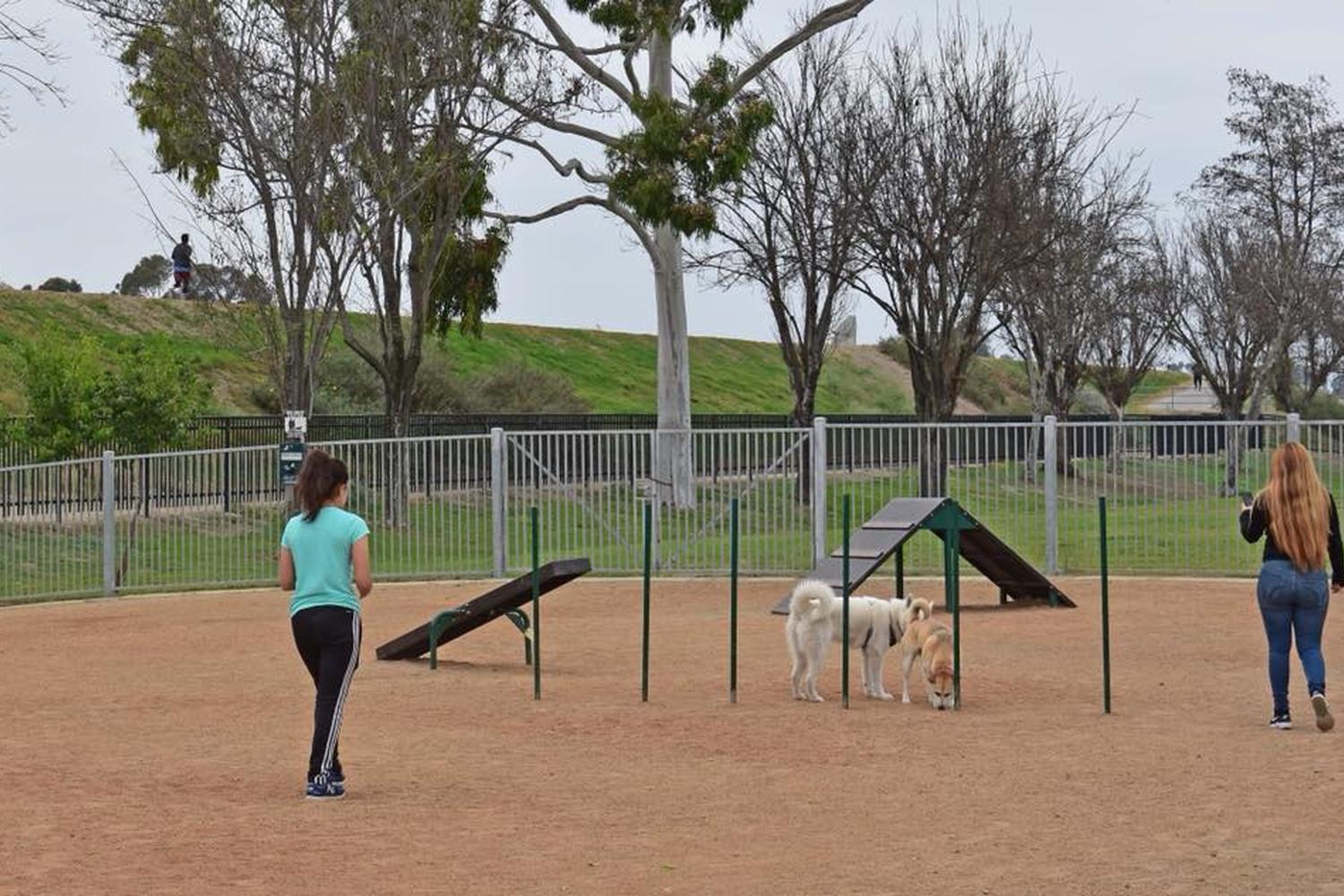 South Gate Dog Park at Hollydale Regional Park 6