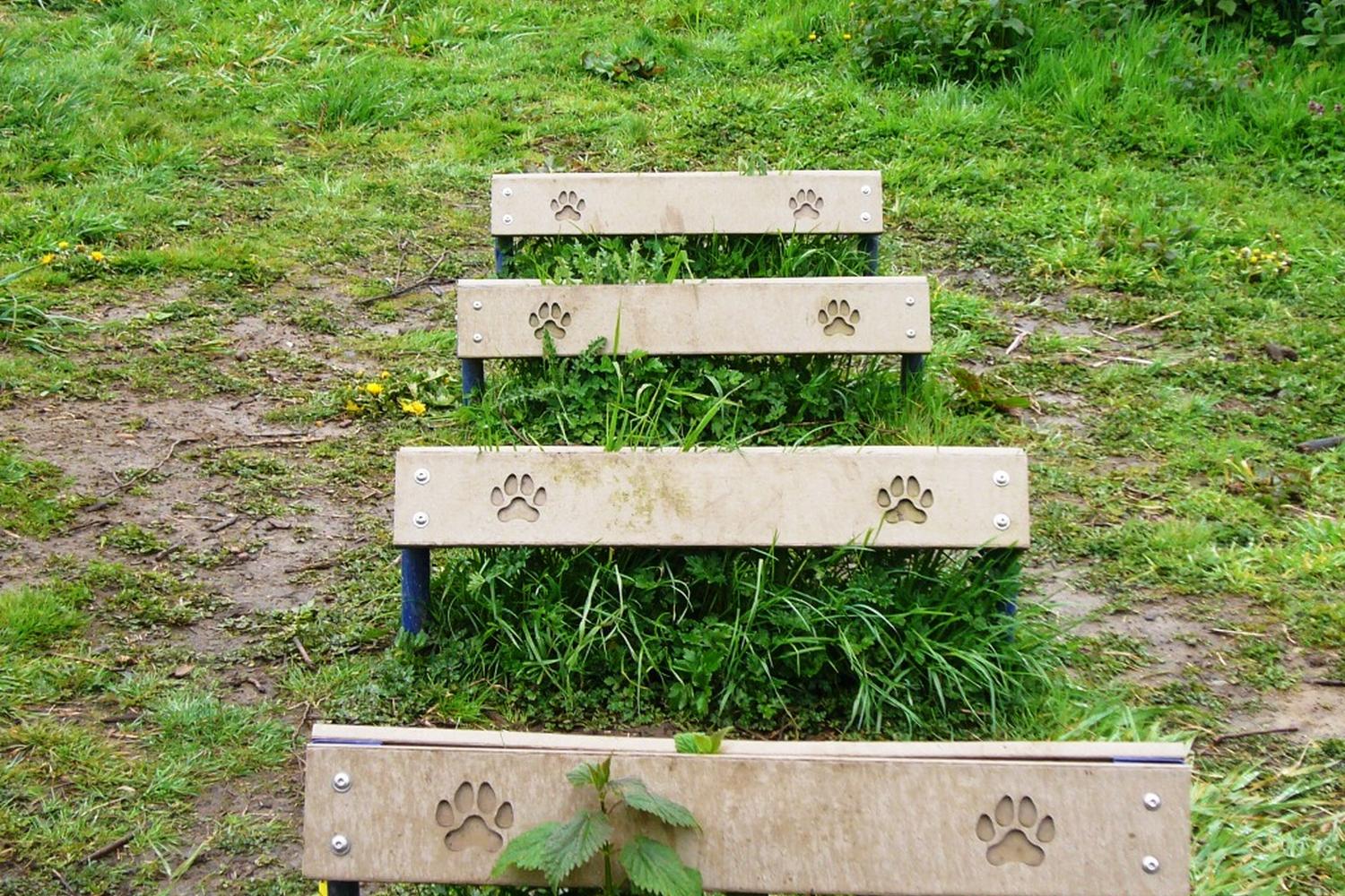 Cavalero Hill Off-Leash Dog Area 2