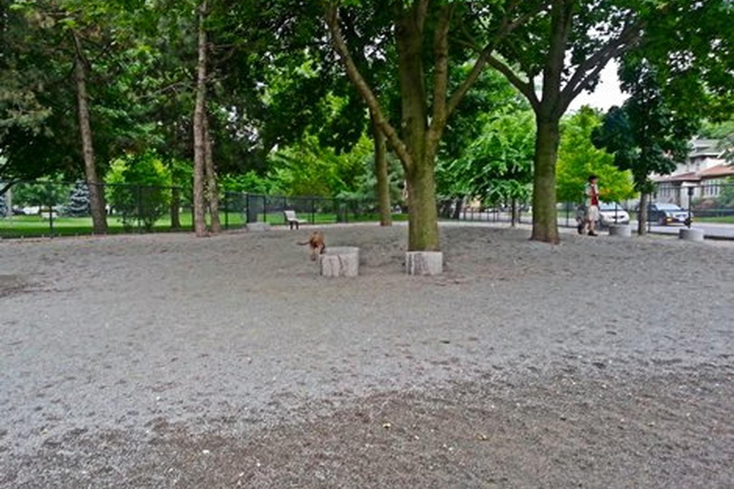 Maple Park Dog Park 5