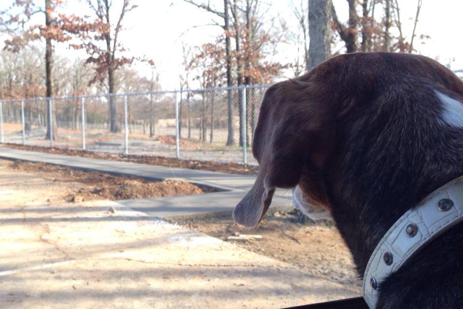 Conway's PetSafe Dog Park 4